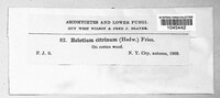 Image Associated With the Occurence